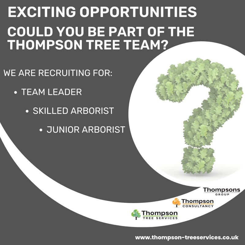 Thompson Tree Service Wichita Ks at Amada Wilson blog