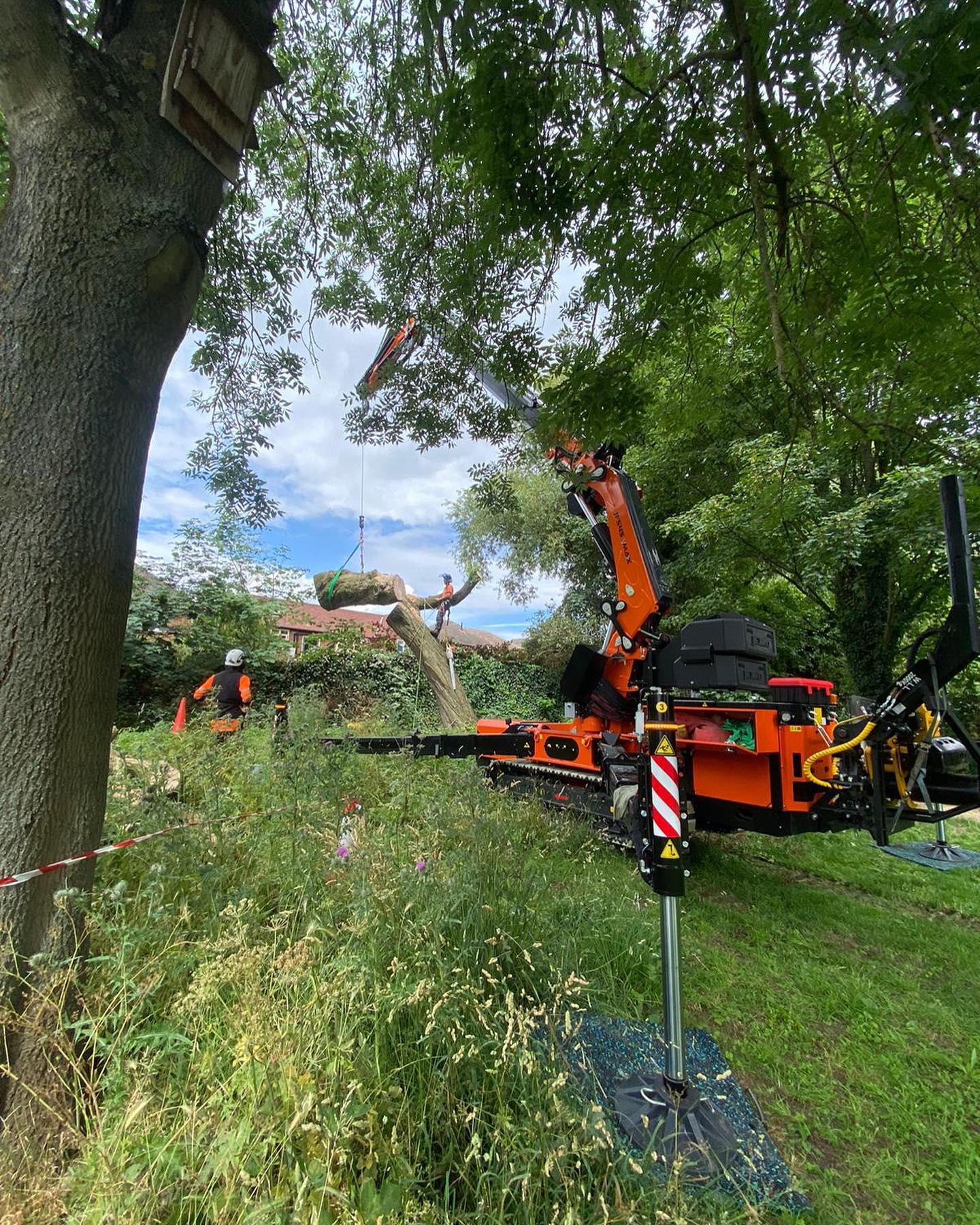 Jekko JF545VMax at The Forefront of Mechanised Arboriculture