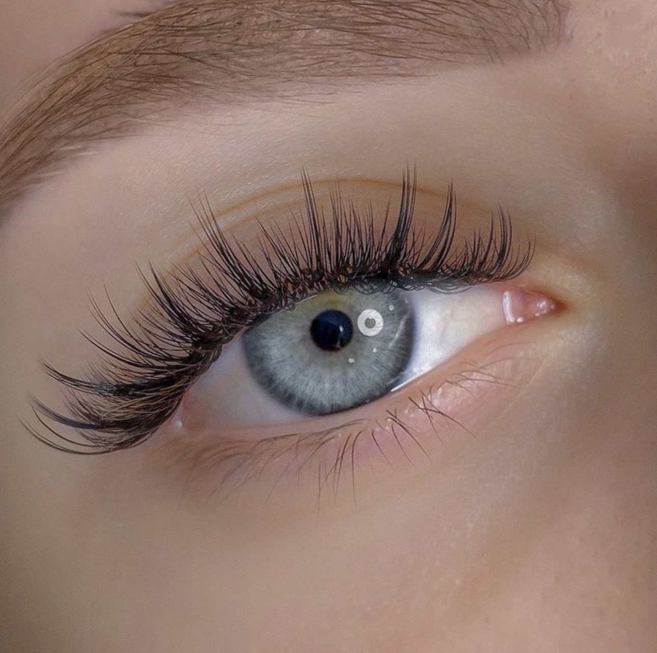 Celebrity Eyelash Extensions