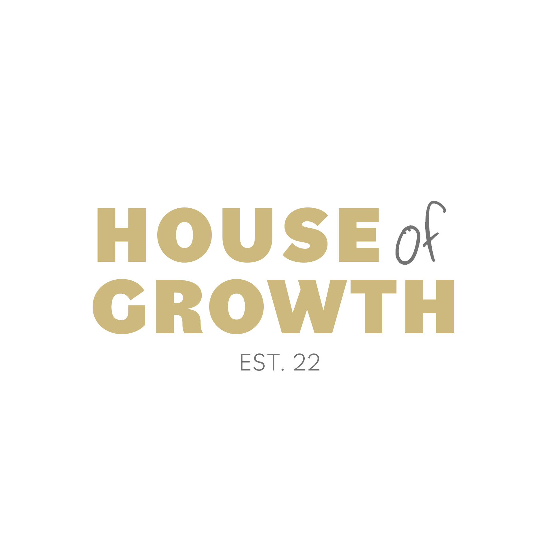 Paul Tellefsen co-founded House of Growth, LLC with Jared Threw, a growth marketing company that serves production studios and commercial creatives through social media management and unique sales funnels to help strengthen brand reputation and increase qualified leads.