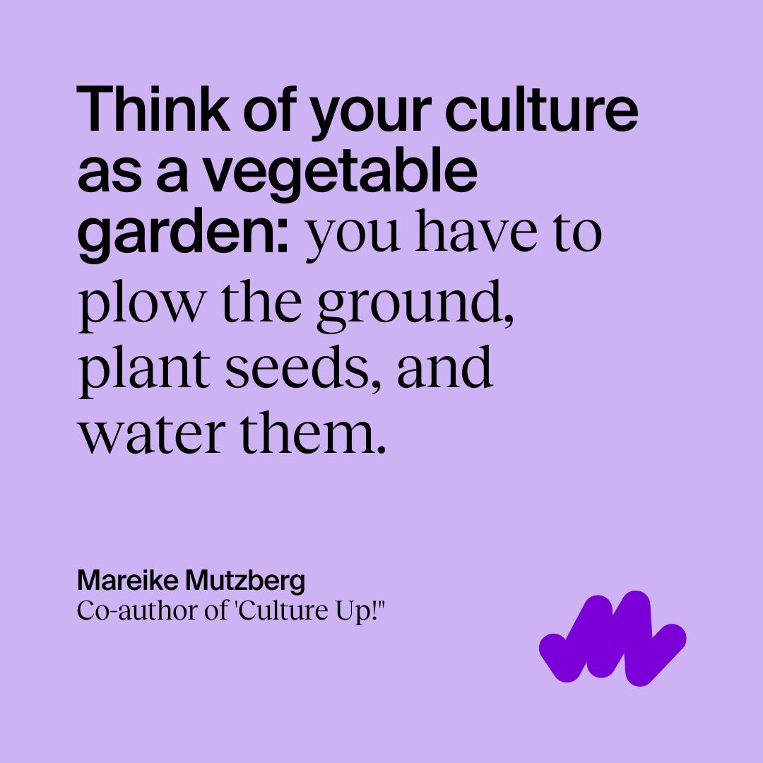 Think of your culture as a vegetable garden