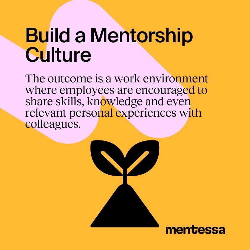 Build a mentorship culture