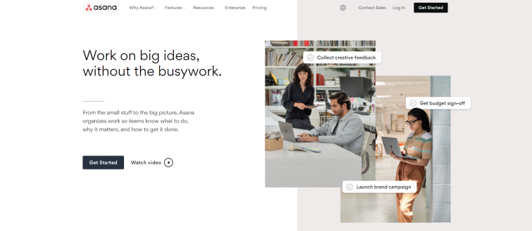 Asana project management tool