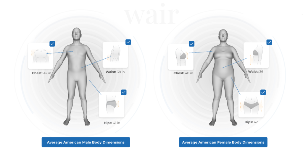 The average body dimensions of males and females in America