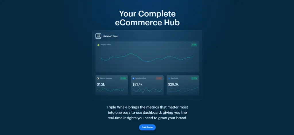 Triple Whale data and analytics solution