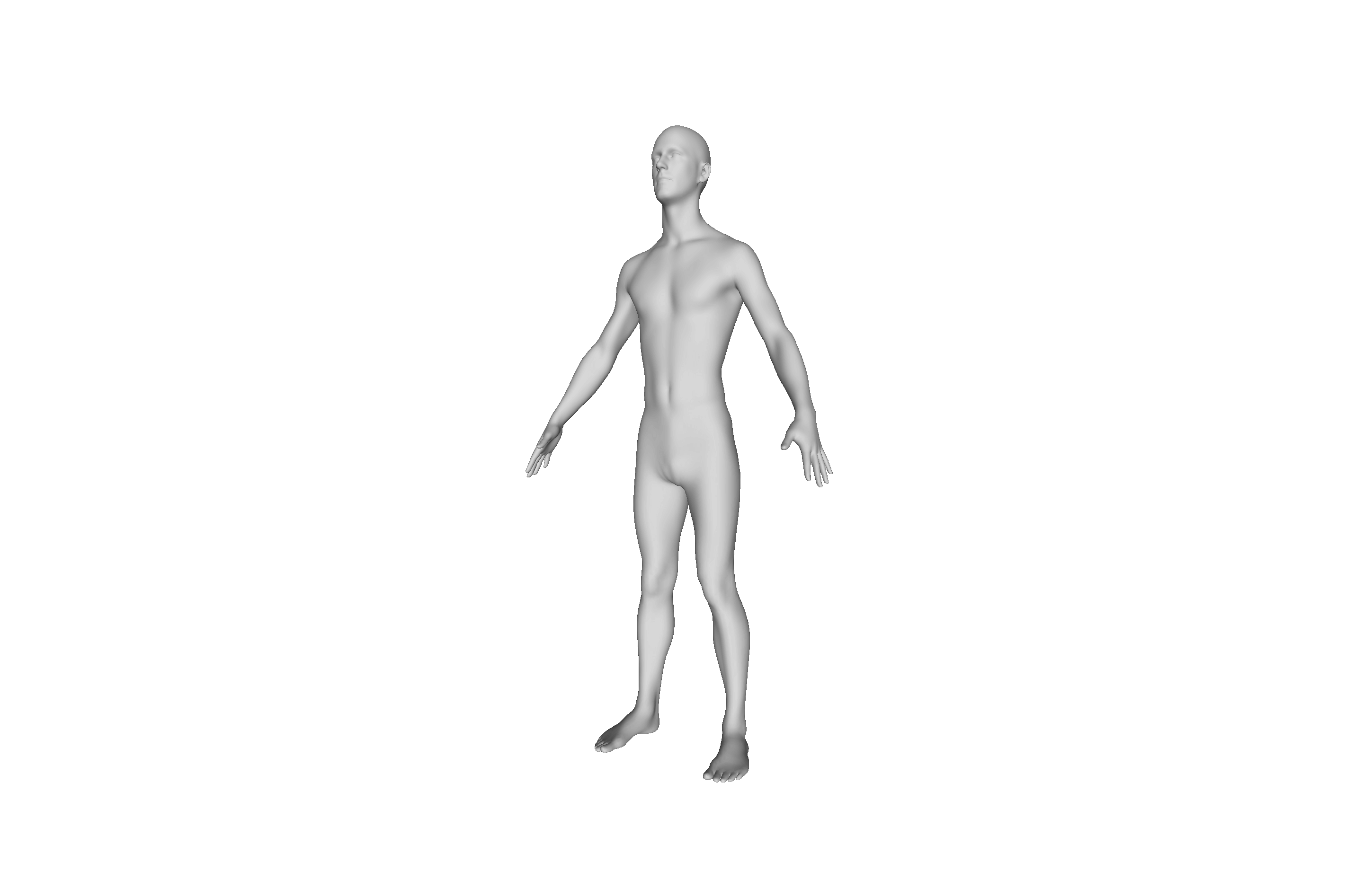 A 3D avatar used to represent a tall and thin male