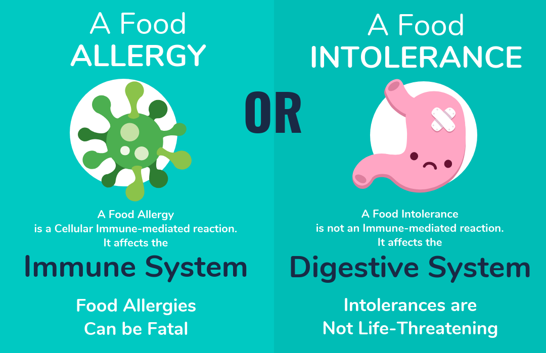 The FoodEczema Relationship