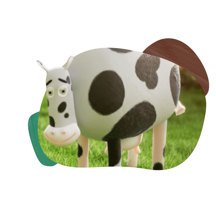 A happy cow from an organic dairy farm