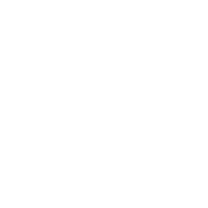 DORFKID Leistungen Icon