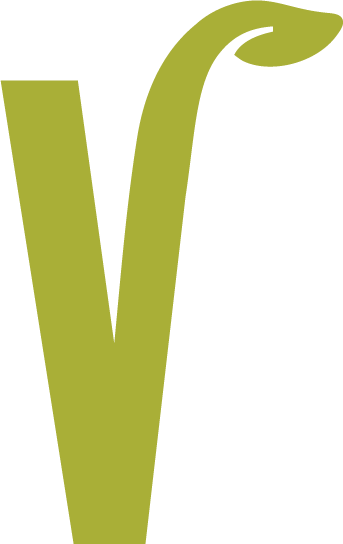 The VegTO leafy V brandmark in olive green