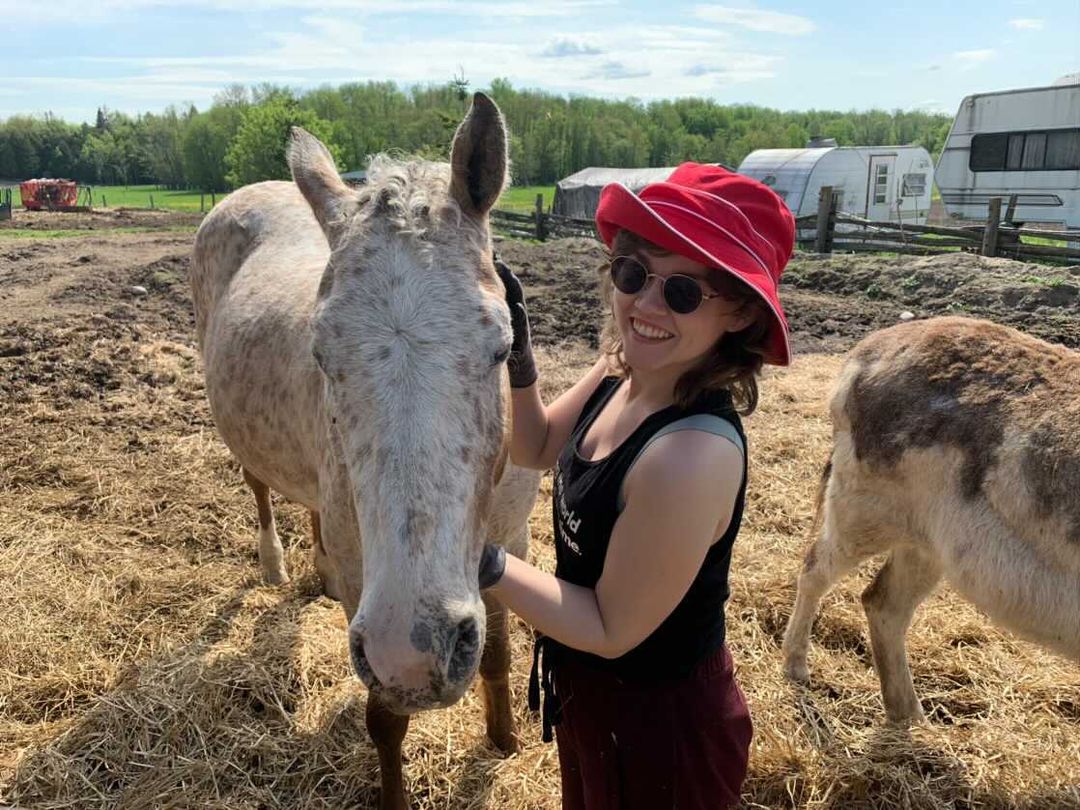A person in a red hat and sunglasses pets a horse on a warm day.