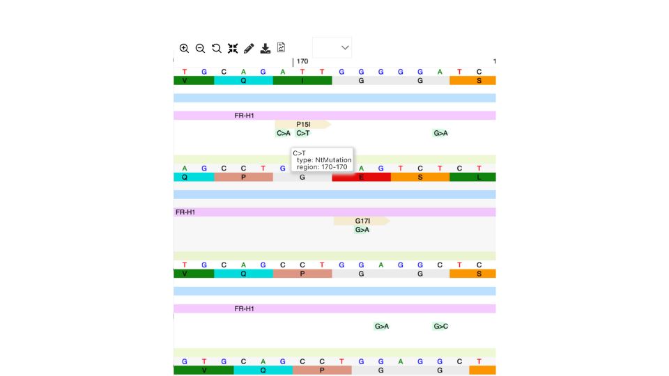 Annotation of nucleotide and amino acid mutations from germline genes on PipeBio