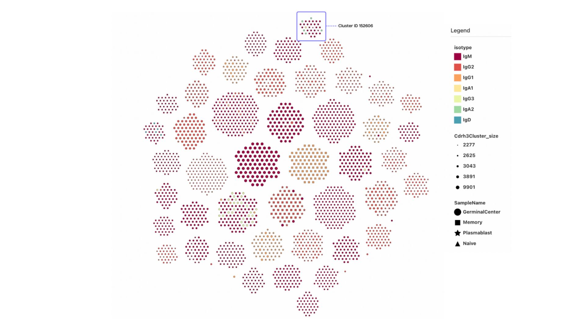 A PipeBio cluster view chart with tonsil immune cell isotypes, cluster size and B cell stage overlaid