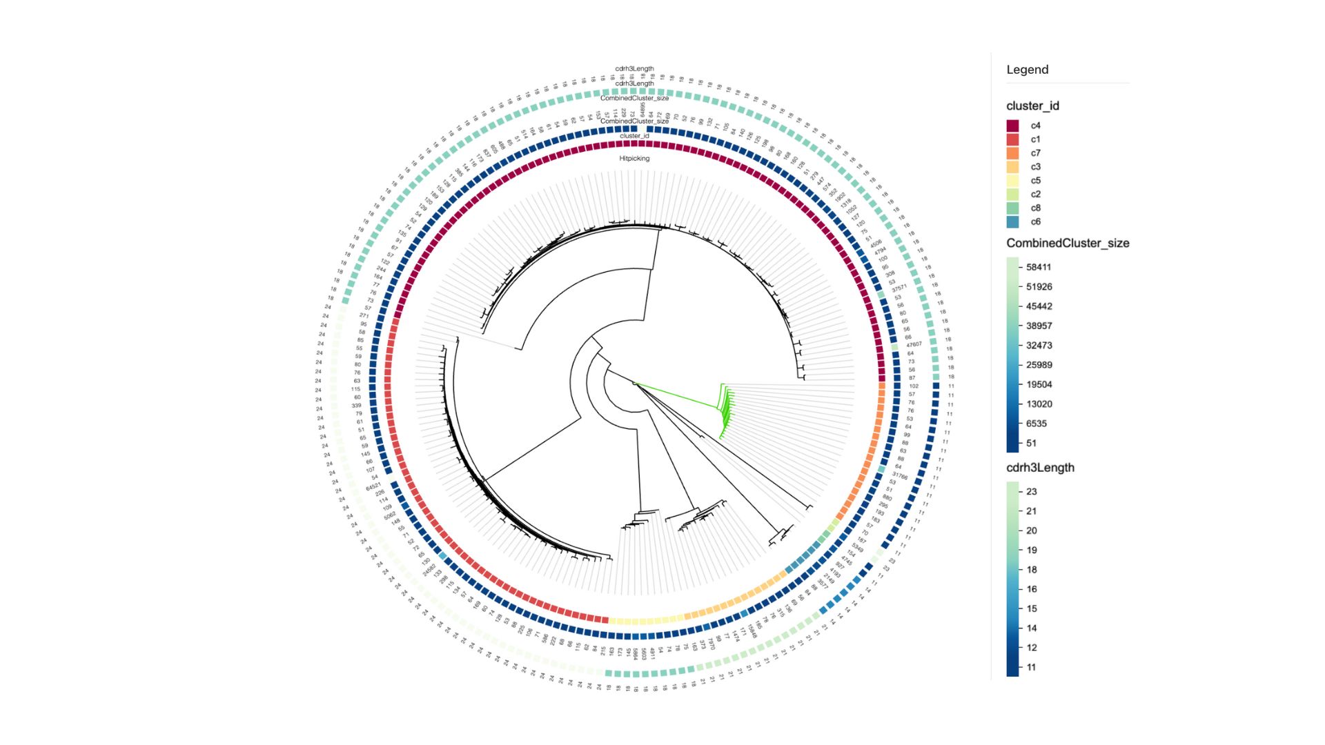 A radial view of a phylogenetic tree of antibody sequences on PipeBio