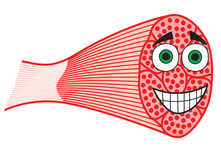 High Quality Tissues are Happy Tissues