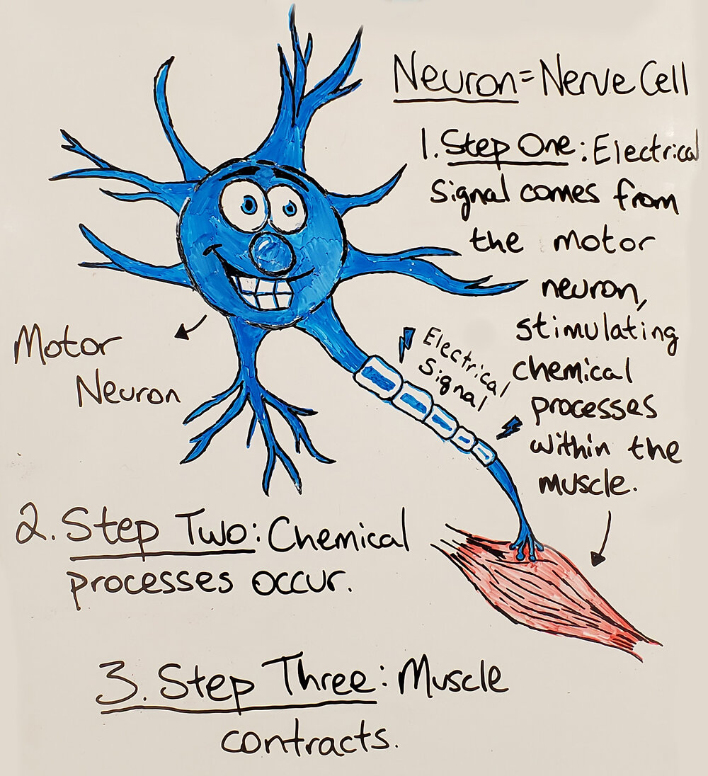 Neuron Board.jpg