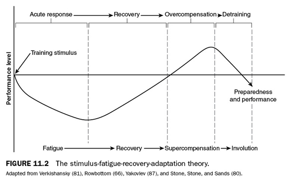 Stimulus Fatigue Recovery.png