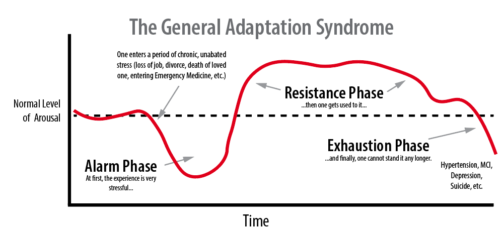 General+Adaptation+Syndrome.png
