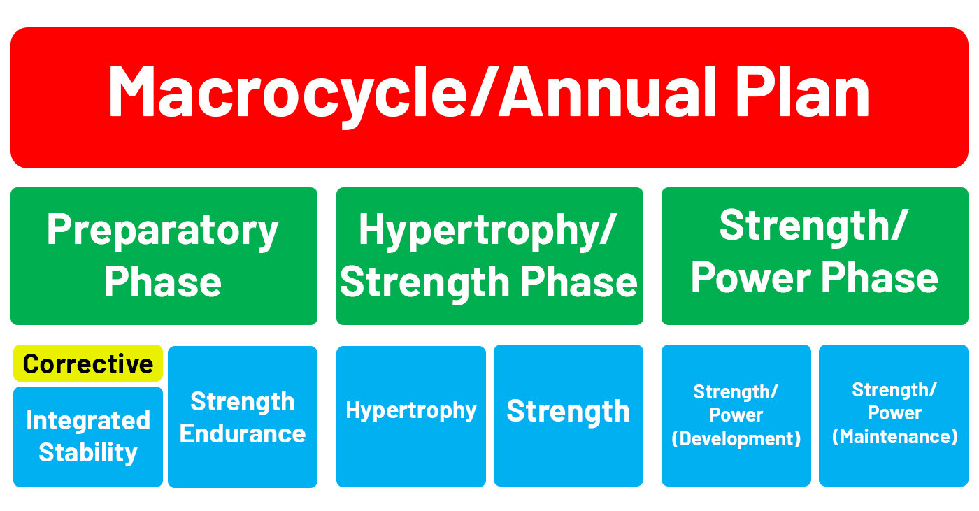 Motus Annual Plan.jpg