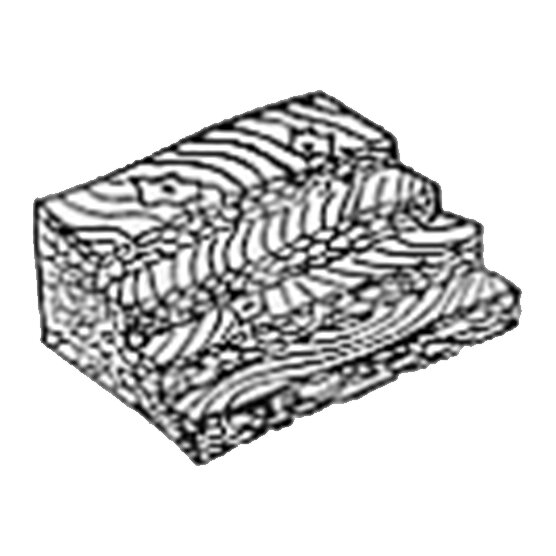 Random Structure of a Ligament