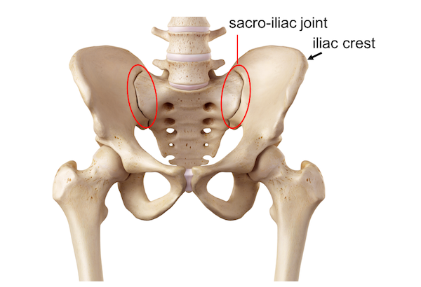 https://pathologies.lexmedicus.com.au/collection/inflammation-of-the-sacroiliac-joint-sacroiliitis