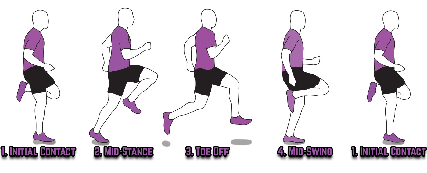 Running Phases Blog.jpg