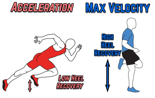 Heel Recovery for Blog.jpg