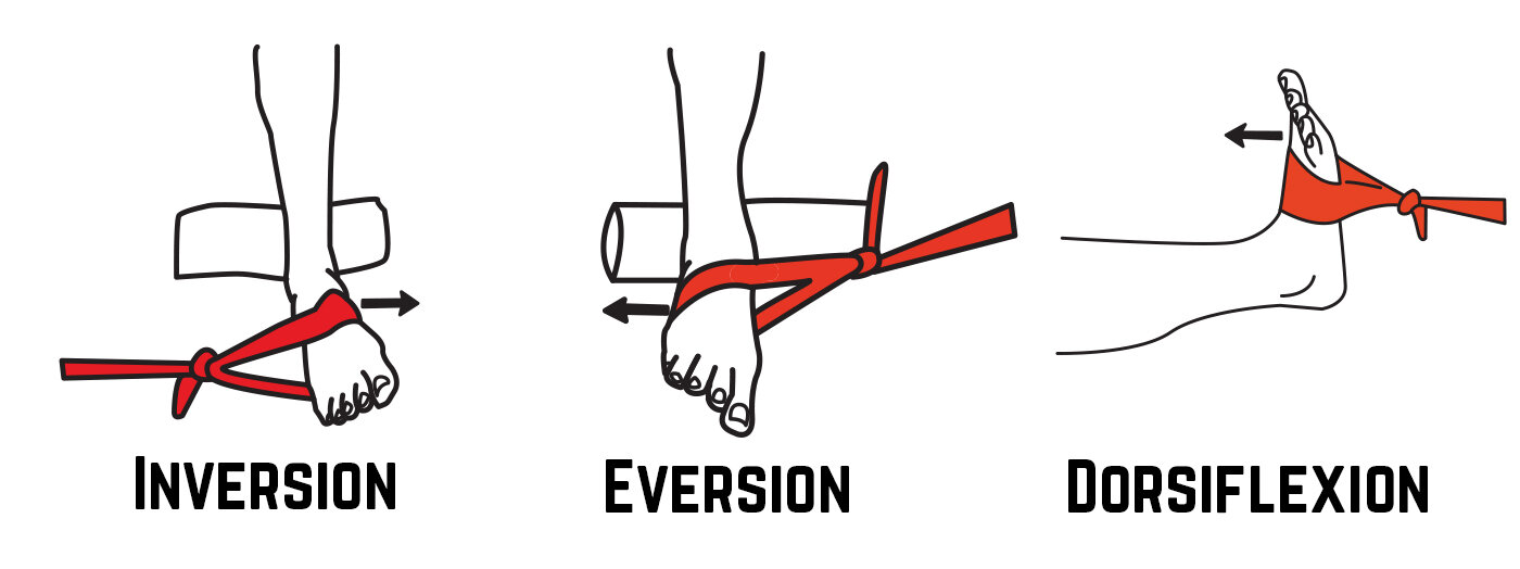 Inversion Eversion Dorsiflexion Blog.jpg
