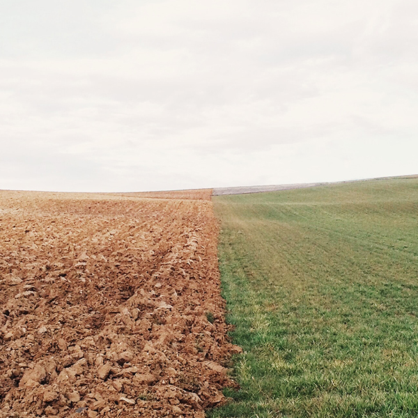 Searles | How to create healthy soils for your garden