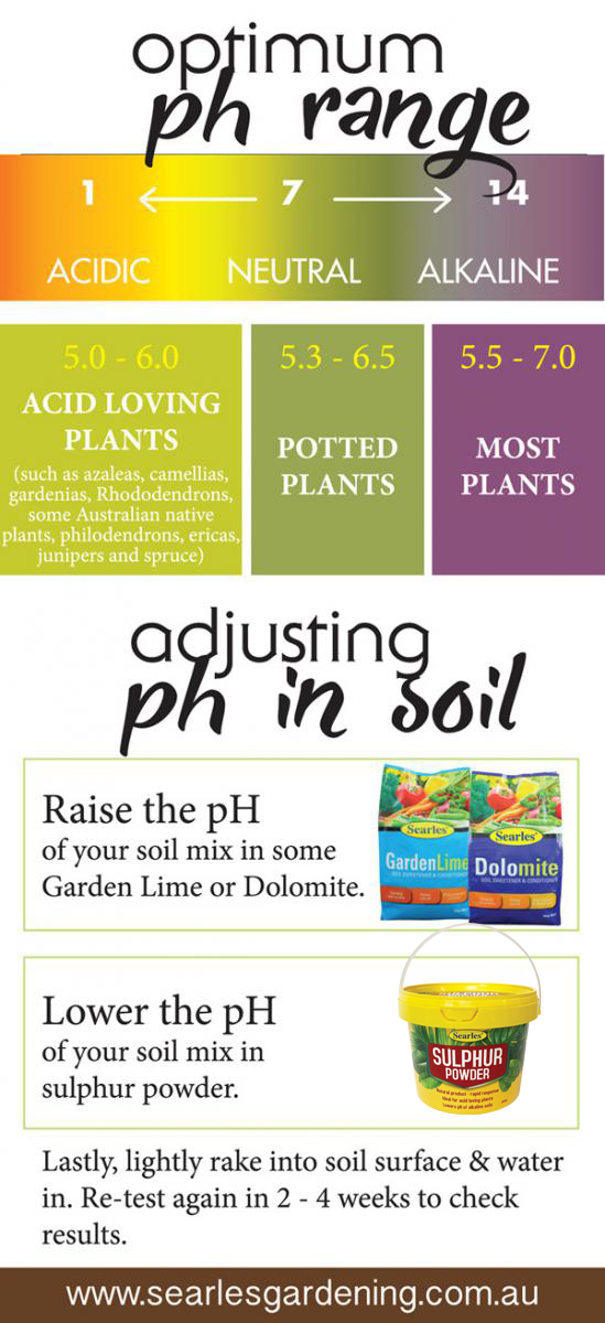 Searles How to test pH level in garden soils