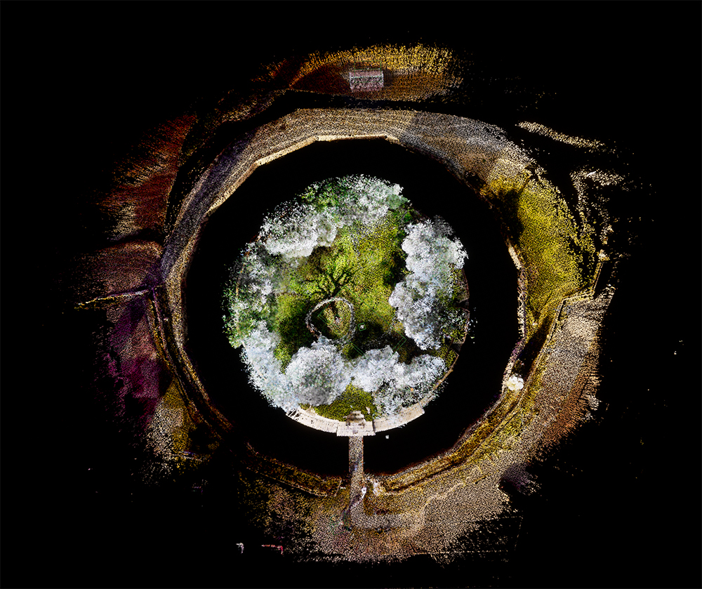 Birdseye view of the new forest imaginarium