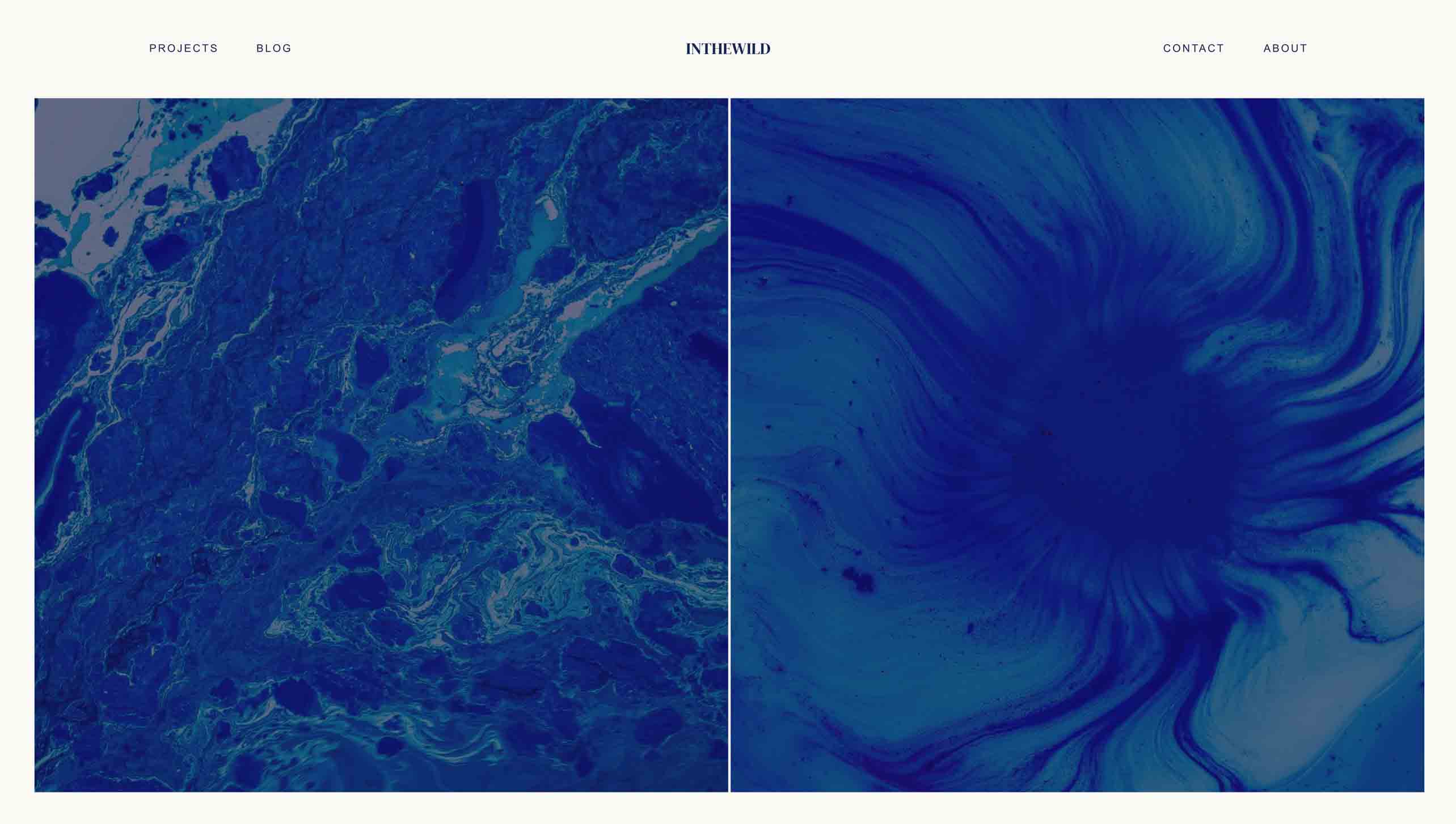 A blog page called INTHEWILD with two blue op art images.