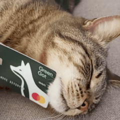 Photo utilisateur Green-Got avec sa carte bancaire