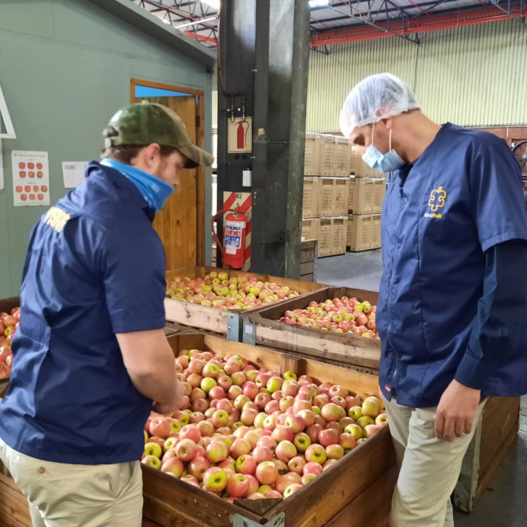 Fruit Exporters Exporters of Quality Fruit from South Africa