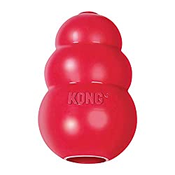 KONG dong toy