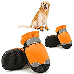 G-Baby Dog Boots