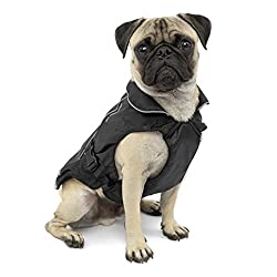 Kurgo North Country Dog Coat
