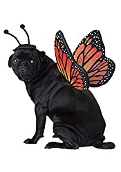 Monarch Butterfly