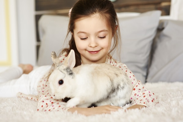 pet a rabbit