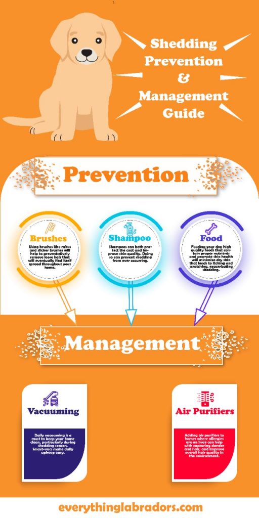 shedding prevention infographic