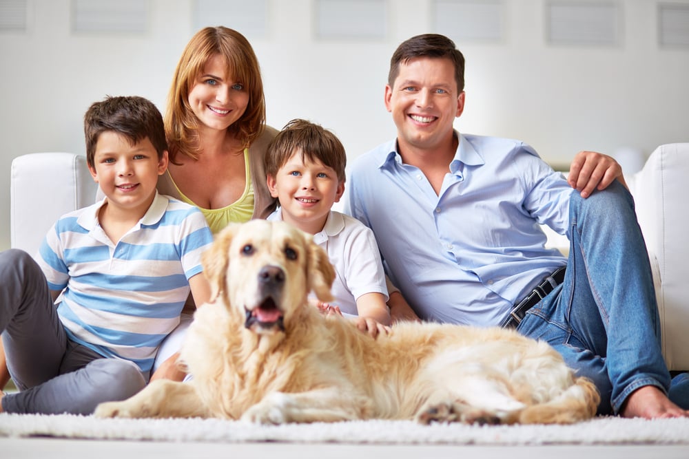 family dog