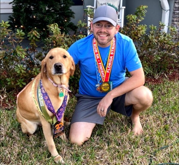 Why Labradors Are Good Running Partners