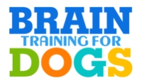 brain training for dogs