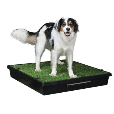 PetSafe Pet Loo