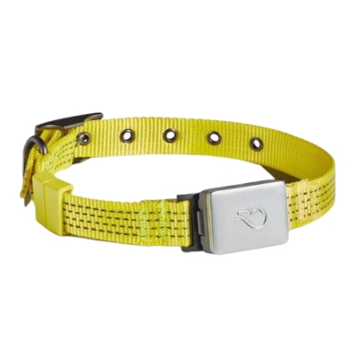 Whistle Collar