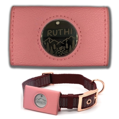 Amazon's Dog Tag Holder and ID Tag Silencer