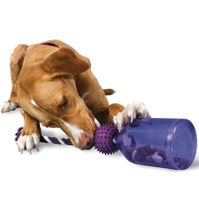 PetSafe Busy Buddy Tug-A-Jug