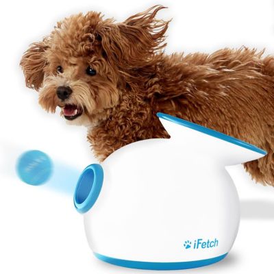 IFetch Interactive Ball Launcher