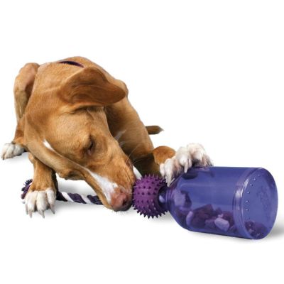 PetSafe Busy Buddy Tug-A-Jug
