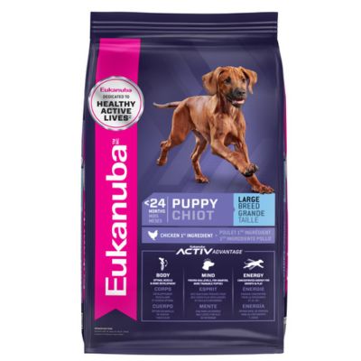 Eukanuba Puppy Large Breed Dog Food